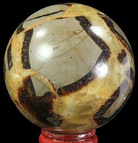 Polished Septarian Sphere - Madagascar #67860